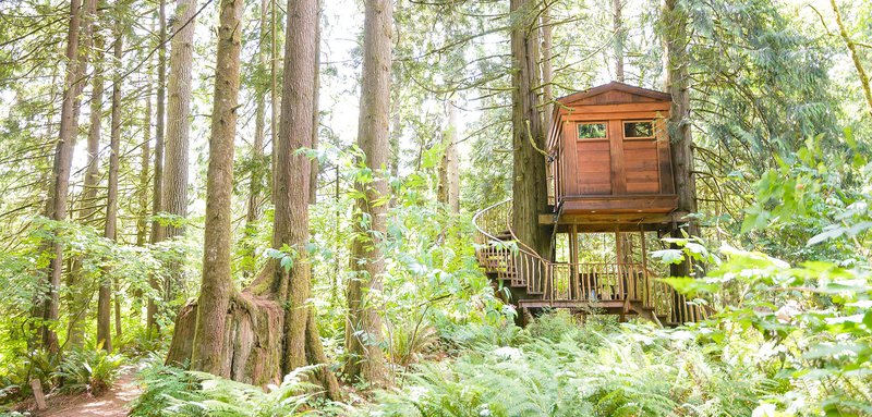 Treehouse point bon bini