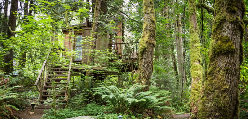 Treehouse point boomhut