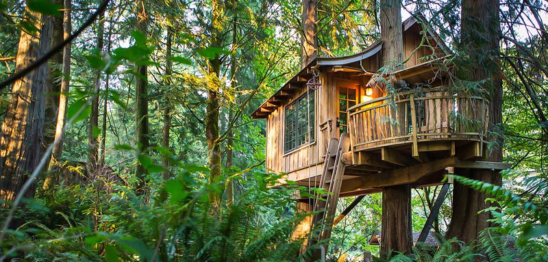 Treehouse point